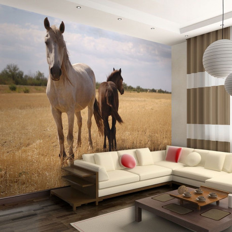 Fototapeet - Horse and foal - 400x309