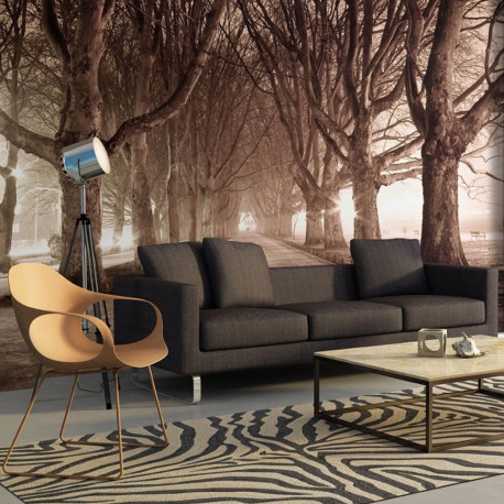 Fototapeet - Park alley - 250x193