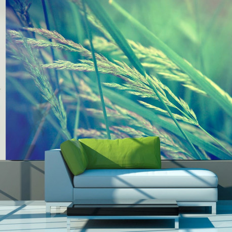 Fototapeet - Cereal field - 200x154