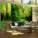 Fototapeet - Jungle - 400x309 Fototapeet - Jungle - 400x309