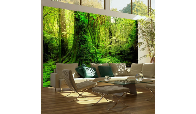 Fototapeet - Jungle - 400x309