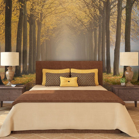 Fototapeet - Journey to the unknown - 400x309