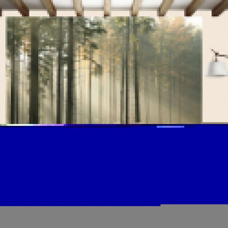 Fototapeet - Foggy November morning - 300x231