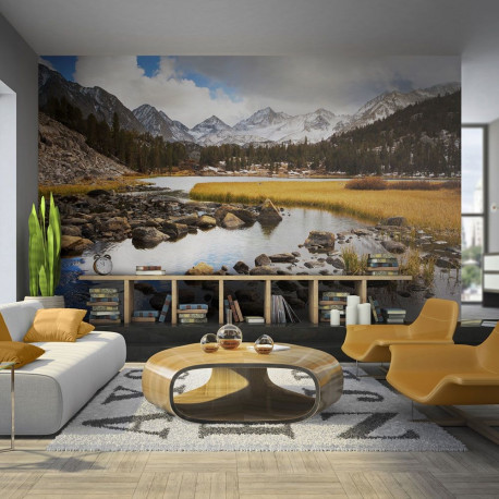 Fototapeet - Mountain stream - 300x231