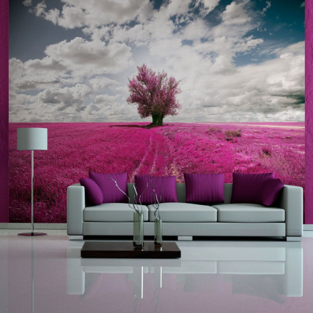 Fototapeet - Magenta meadow - 300x231