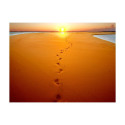 Fototapeet - Footprints in the sand - 300x231 Fototapeet - Footprints in the sand - 300x231