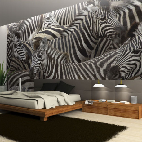 Fototapeet - Herd of zebras - 200x154