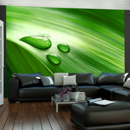Fototapeet - Leaf and three drops of water - 250x193
