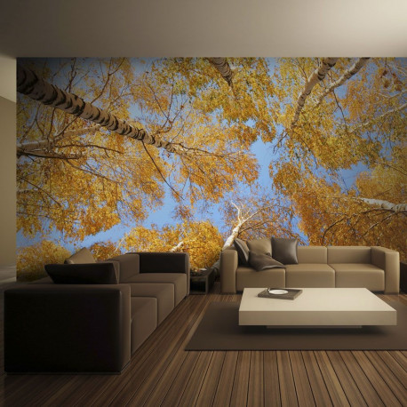 Fototapeet - Autumnal treetops - 300x231