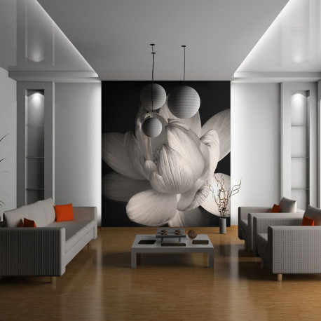 Fototapeet - Lotus flower - 200x154