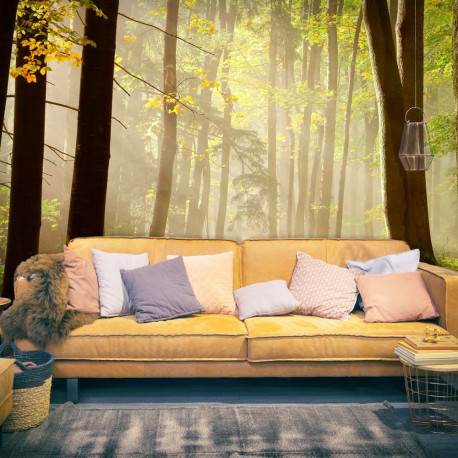 Fototapeet - Mysterious forest path - 200x154
