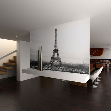 Fototapeet - Paris: black and white photography - 250x193