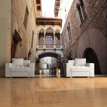 Fototapeet - Barcelona Palau generalitat in gothic Barrio - 200x154