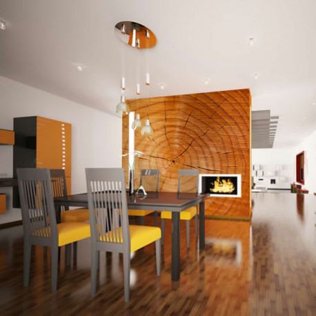 Fototapeet - Annual rings on a tree trunk - 350x270