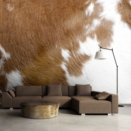 Fototapeet - Cowhide - 350x270