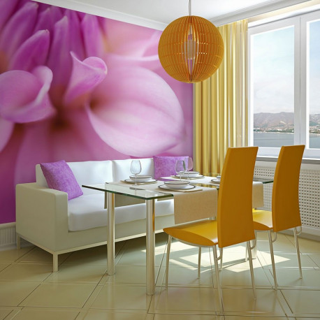 Fototapeet - Flower petals - dahlia - 300x231