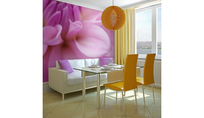 Fototapeet - Flower petals - dahlia - 200x154