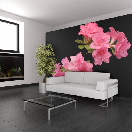Fototapeet - Azalea in Black - 400x309