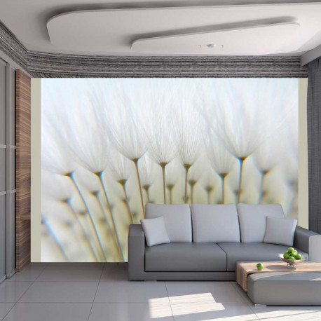 Fototapeet - Dandelion forest - 350x270