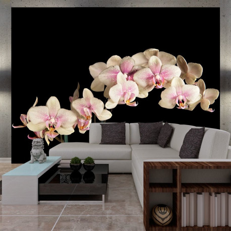 Fototapeet - Blooming orchid - 400x309