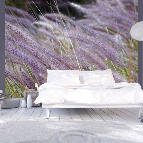 Fototapeet - Green field and purple flowers - 350x270