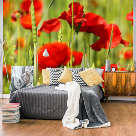 Fototapeet - Cereal field with poppies - 200x154