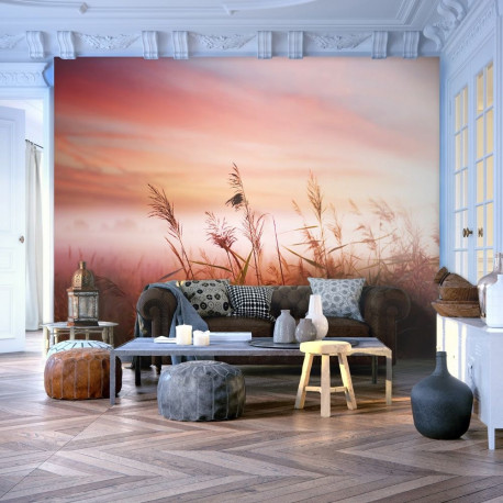 Fototapeet - Morning meadow - 200x154