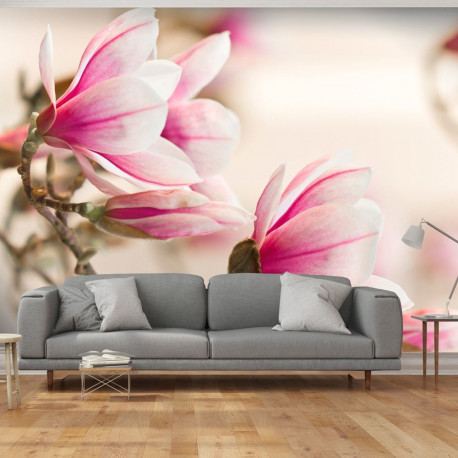 Fototapeet - Branch of magnolia tree - 300x231