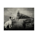Fototapeet - Dog's melodies - 250x193