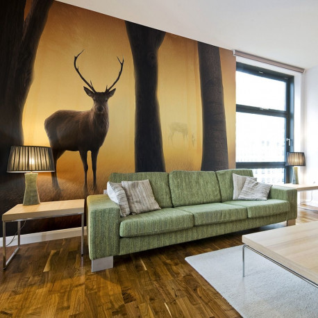 Fototapeet - Deer in his natural habitat - 350x270