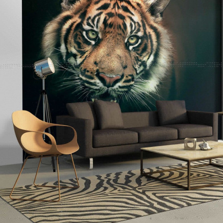 Fototapeet - Bengal Tiger - 350x270