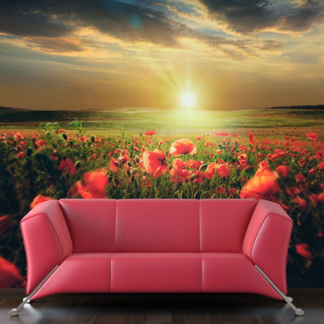 Fototapeet - Morning on the poppy meadow - 200x154
