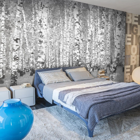 Fototapeet - Birch seclusion - 300x231