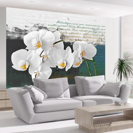 Fototapeet - Orchid - poet's inspiration - 300x231