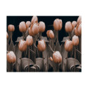 Fototapeet - Ladies among the flowers - 300x231