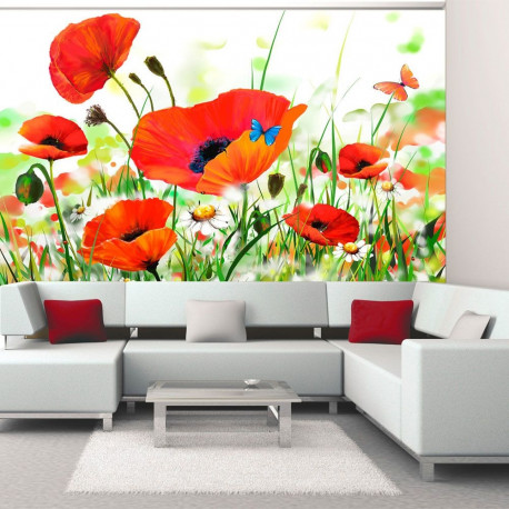 Fototapeet - Country poppies - 400x309