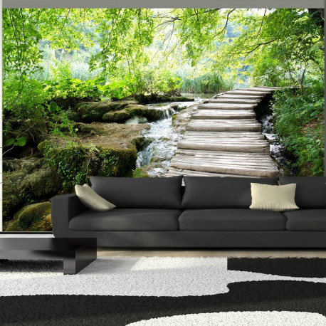 Fototapeet - Forest path - 350x245