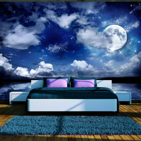 Fototapeet - Magic night - 100x70