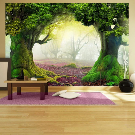 Fototapeet - Enchanted forest - 200x140