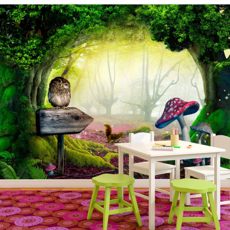 Fototapeet - Owlish corner - 200x140