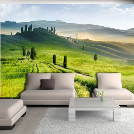 Fototapeet - Morning in the countryside - 250x175