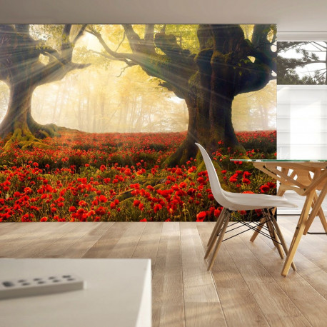 Fototapeet - Morning among poppies - 300x210