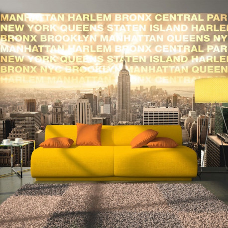 Fototapeet - Neighborhoods of New York - 300x210