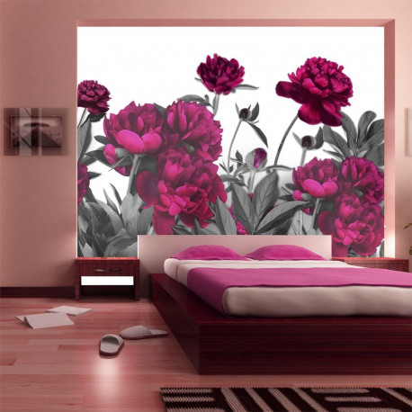 Fototapeet - Lush meadow - 250x175