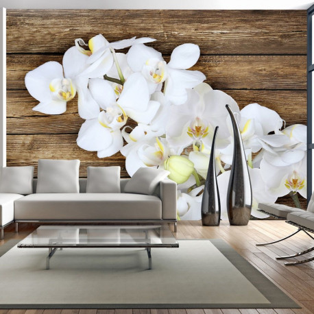 Fototapeet - Delicacy on wood - 400x280