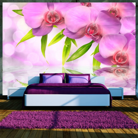 Fototapeet - Orchids in lilac colour - 200x140