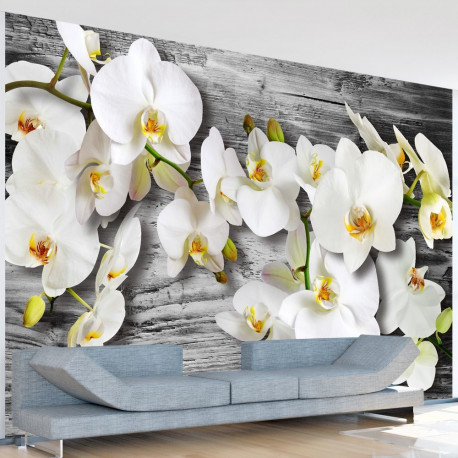 Fototapeet - Callous orchids III - 100x70