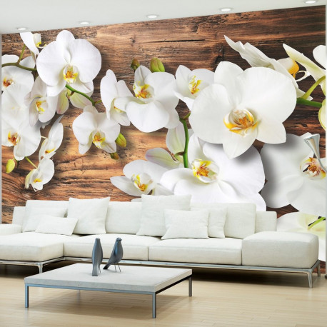 Fototapeet - Forest Orchid - 300x210