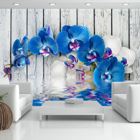 Fototapeet - Cobaltic orchid - 350x245