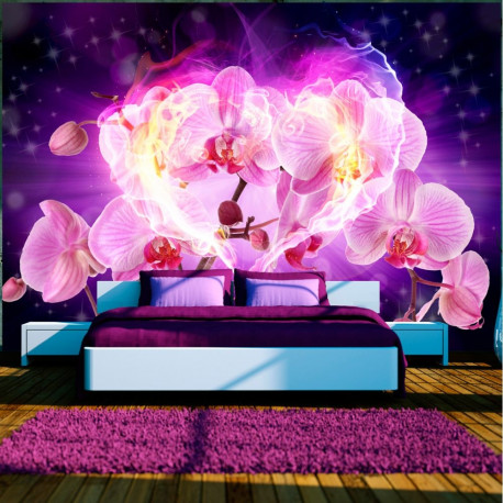 Fototapeet - Orchids in flames - 350x245